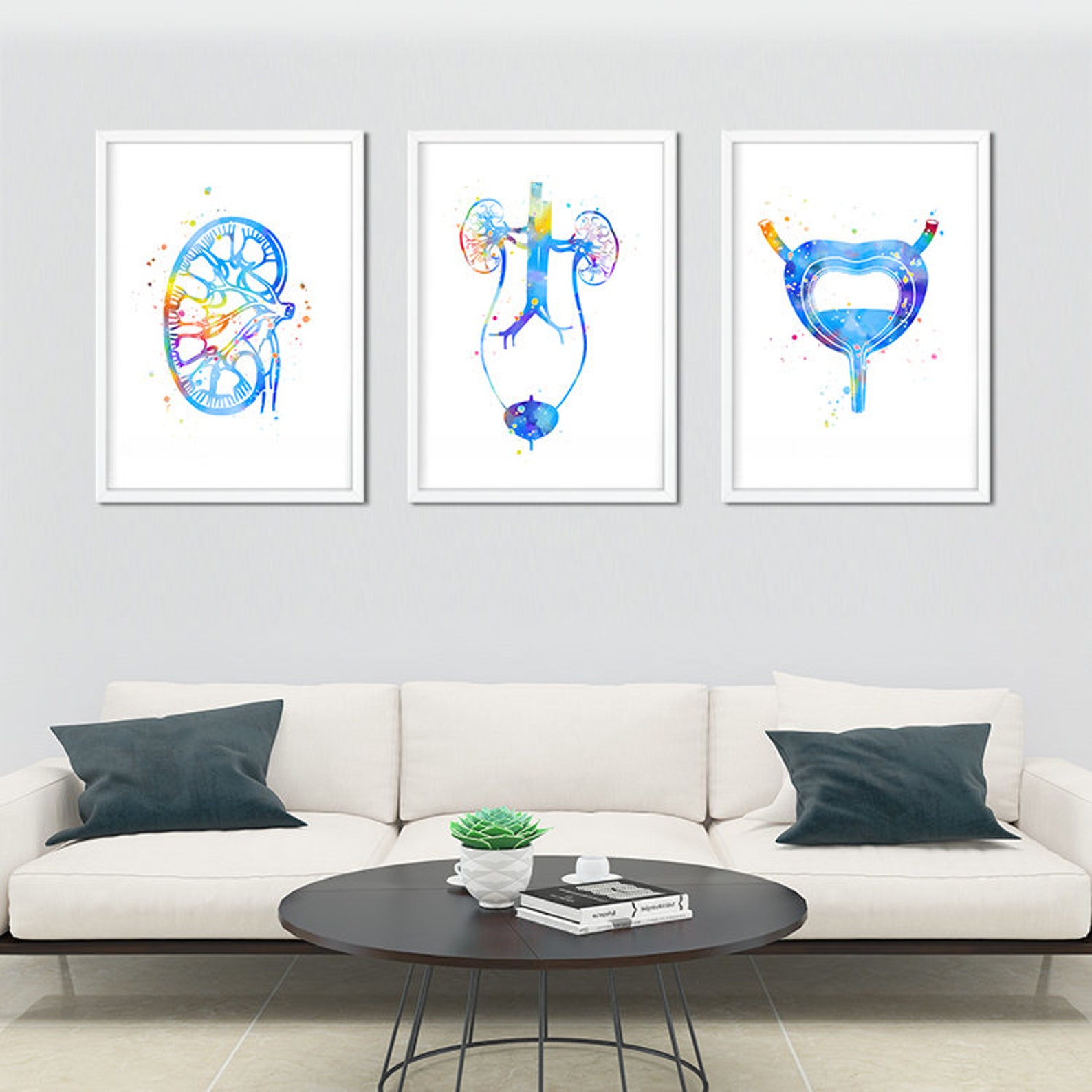 Urologist Gift, Urology Art Set Prints, Watercolor Anatomy Prints for