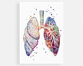 Anatomical lungs Watercolor Art Print for Doctor Office Decor
