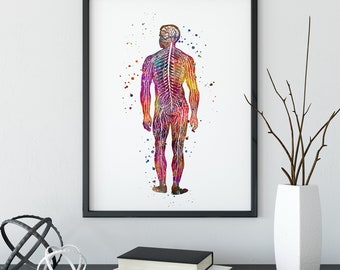 Nervous System Art Poster, Human Body Anatomy Watercolor Print, Neuroscience Art for Neurologist Office Decor, Neurology Medical Artwork