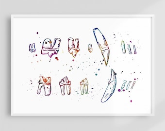 Cat Dentistry Wall Art, Veterinary Clinic Decor, Veterinary Dentistry Specialist Gift, Feline Dental Chart Poster, Teeth Watercolor Print