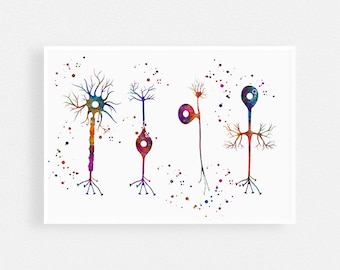 Art des neurosciences, Types d’aquarelle de neurones, Affiche de biologie des cellules nerveuses