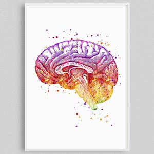 Brayn art Watercolor Print, Neuroscience art, Neurology office decor, Neurologist gift