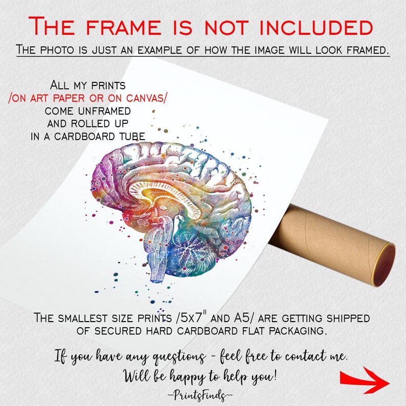Neuroanatomy Art Print | Brain Anatomy Cross Section | Watercolor ...