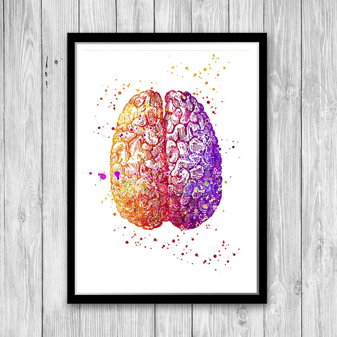 Anatomy Set of 3 Prints Anatomy Art Brain and Heart Doctors - Etsy