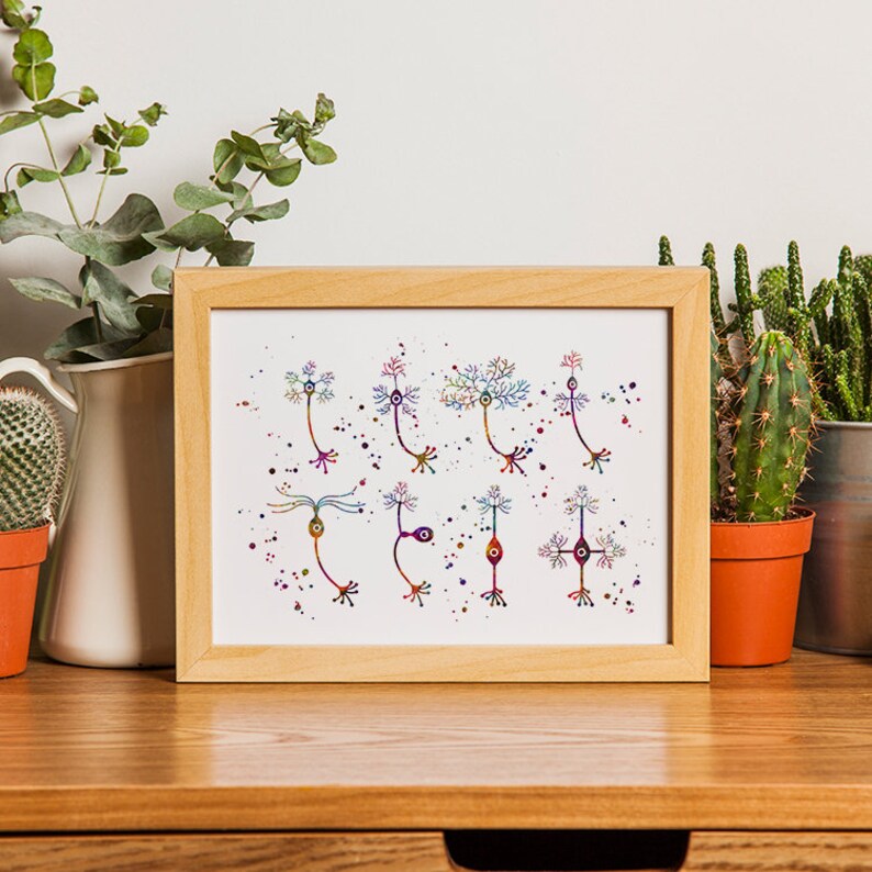 Science Decor Types of Neurons Watercolor Print Biology Poster Etsy