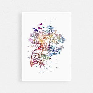 Lever boom anatomie kunst aquarel print, dokterscadeau, medische inrichting, kunst aan de muur transplantatiekliniek