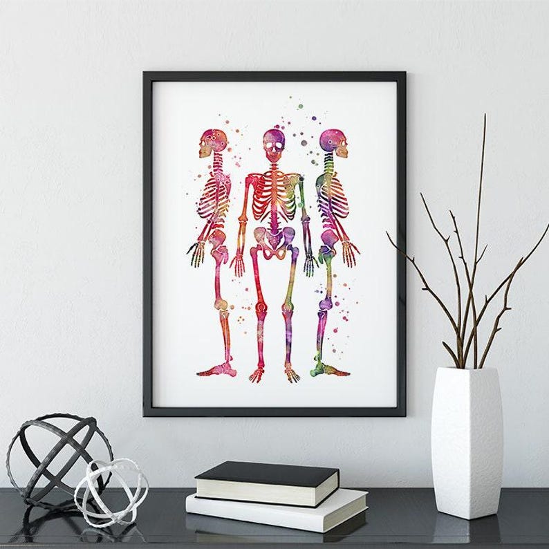 Human Skeleton Watercolor Print Anatomy Art Doctor Orthopedic Office ...