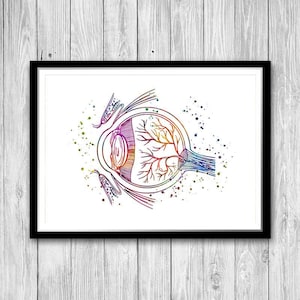 Oog anatomie poster aquarel print cadeau voor oogarts Office decor optometrie afstudeercadeaus