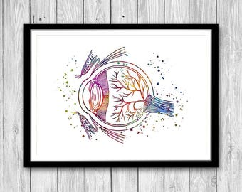 Eye Anatomy Poster Watercolor Print Gift for eye doctor Office Decor Optometry Graduation gifts