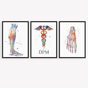 Podotherapeut geschenken, voet anatomie kunst aquarel prints, podologie kantoor decor
