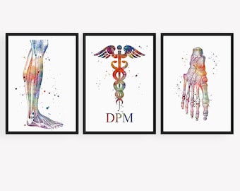Regali per podologi, stampe artistiche ad acquerello di anatomia del piede, decorazioni per ufficio di podologia