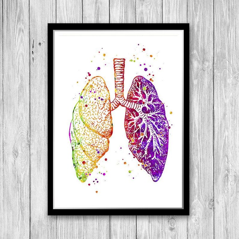 Anatomical Lungs Anatomy art print, Med student gift, Medical art poster Watercolor Decor for Doctor office image 2