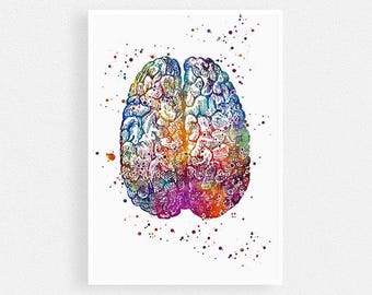 Brain Art, School psychologist office decor, Watercolor Print, Human Anatomy Poster
