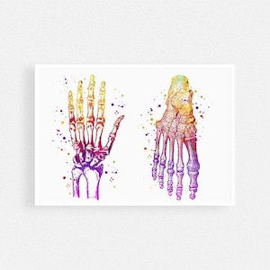 Ossa della mano e del piede - Stampa artistica anatomica ad acquerello, regalo per chirurgo ortopedico, arredamento per studio medico
