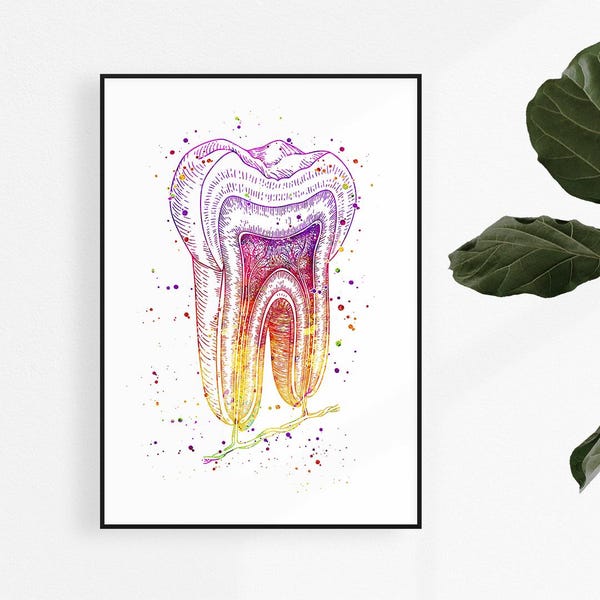 Tooth Watercolor Print, Dentist Office Wall Art, Dental Student Graduation Gift, Hygienist Decor, Giclée Poster