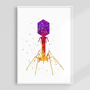 Bacteriophage Watercolor Art Print, Science Wall Decor For Students, Molecular Biology Illustration Poster, Virus Scientific Artwork Canvas