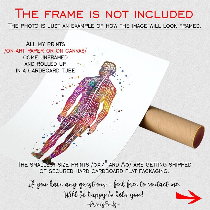 Human Body Nervous System Anatomy Art Watercolor Print Neurologist ...