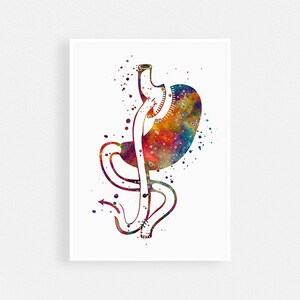 Gastric Bypass Anatomy Art Watercolor Print Bariatric surgery clinic, Doctor surgeon office decor