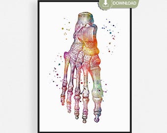 Foot Anatomy Printable Watercolor, Podiatry Wall Art, Physical Therapy Decor, Orthopedic Gift, Instant Digital Download