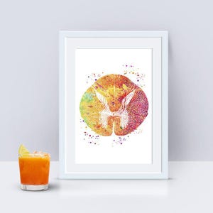 Neurology Art, Thoracic Vertebrae Spinal Cord Cross-section Print ...