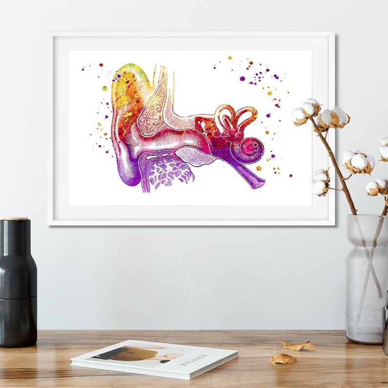 Audiology Wall Art, Human Ear Anatomy Watercolor Print, Audiologist ...
