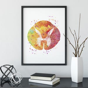 Neurology Art, Thoracic vertebrae Spinal Cord Cross-Section Print, Medical watercolor artwork, Human Anatomy Part of Spinal Cord Poster