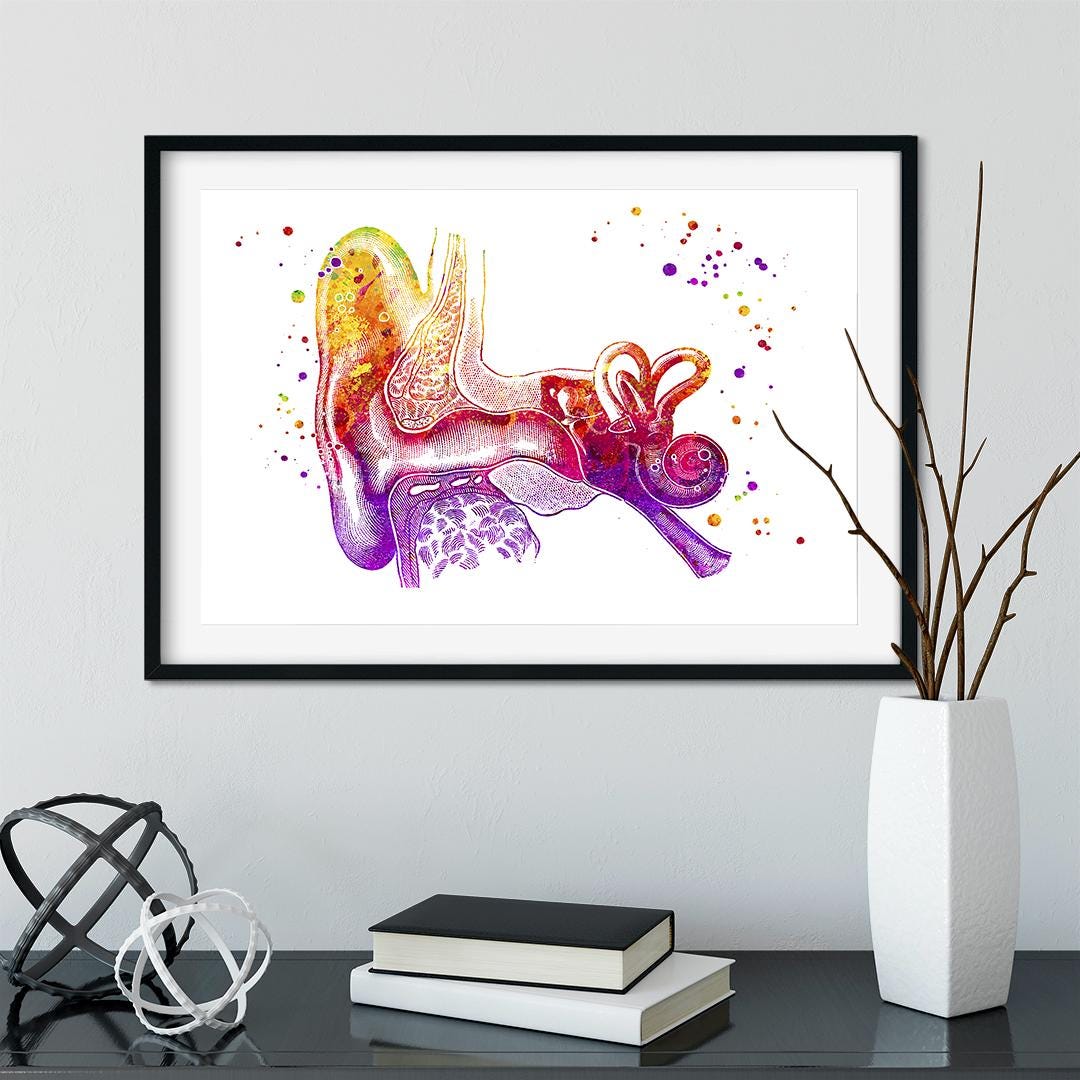 Audiology Wall Art, Human Ear Anatomy Watercolor Print, Audiologist ...