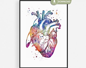 May include: A watercolor illustration of a human heart, showcasing a vibrant spectrum of colors including blues, reds, yellows, and purples. The artwork is set against a white background and framed in black. The image includes the text "DIGITAL DOWNLOAD".