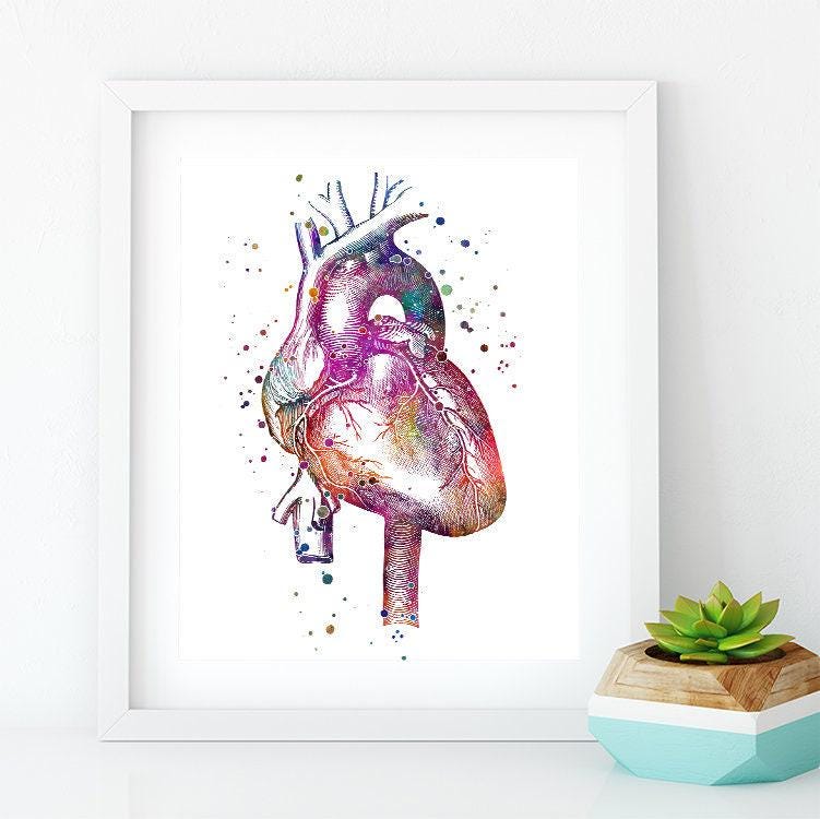 Anatomical Heart Watercolor Print Anatomy Art Doctor Office Decor ...