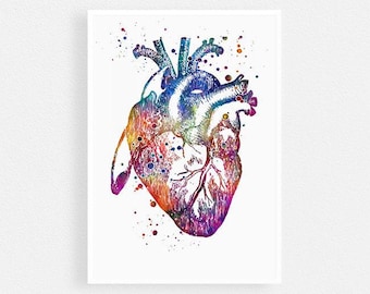 Anatomical Heart Art Print, Watercolor anatomy art wall art for doctor office decor