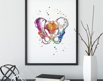 Male Pelvis Print, Multicolored Watercolor Artwork, Chiropractic clinic Wall Art, Medical Poster for Doctor Orthopedic Surgeon Office Decor