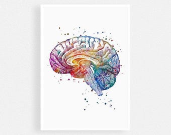 Neuroanatomy Art Print | Brain Anatomy Cross Section | Watercolor Medical Poster