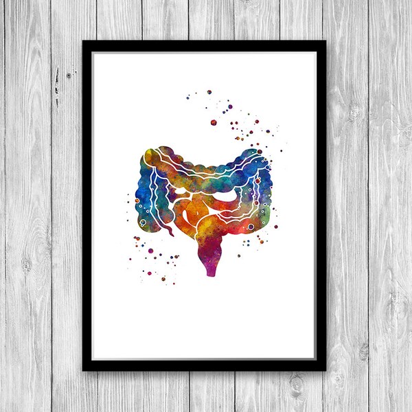 Large and Small Intestine Watercolor Print Gi Tract Gastrointestinal Digestive System