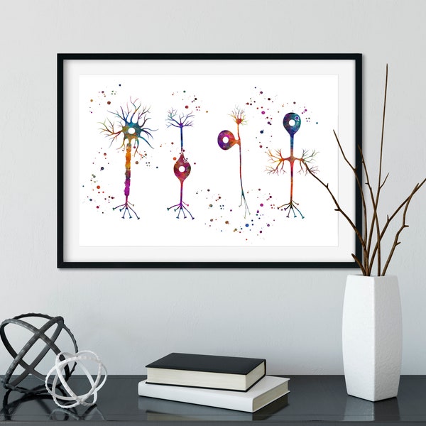 Types d'impression de neurones, oeuvre d'art multicolore à l'aquarelle de neuroscience, affiche de biologie des cellules nerveuses, décoration d'art mural de bureau neurones synapses