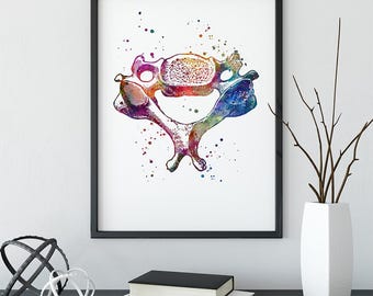 Impresión de arte mural de vértebras cervicales, póster de anatomía en acuarela, decoración de quiropráctico, regalo para fisioterapeuta