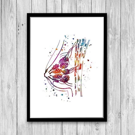 Women Breast Anatomy, Breastfeeding Art Watercolor Print Oncology Art,  Oncologist Gift 