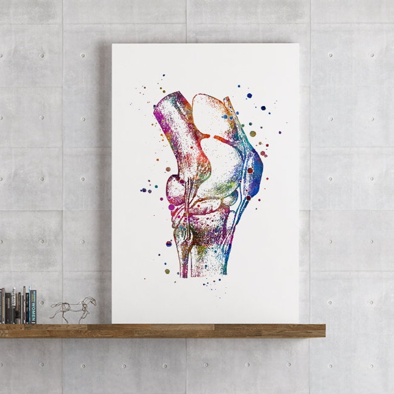 poster anatomie art