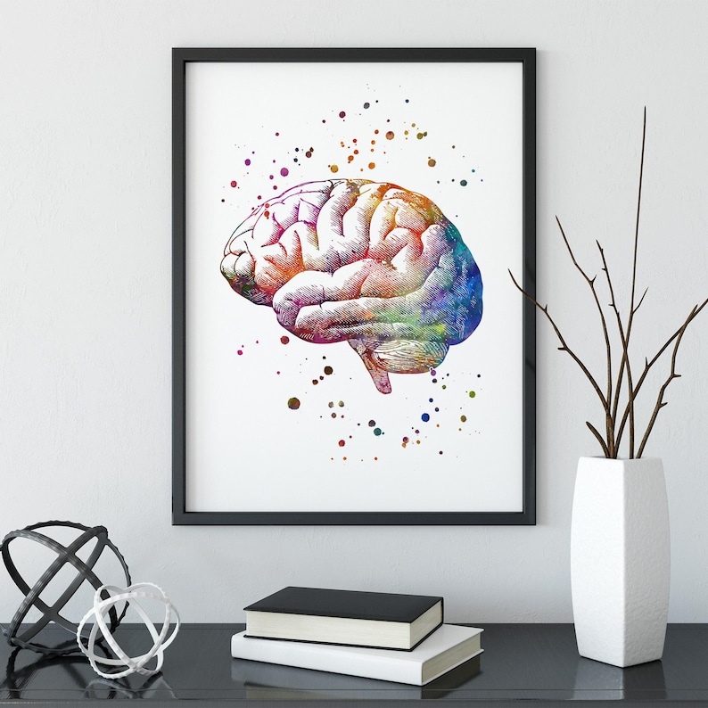 Brain Anatomy Art Print | Medical Office Decor | Human Anatomy ...