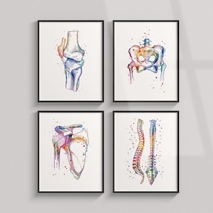 May include: Set of four watercolor anatomical illustrations of the human body. The illustrations depict the knee, pelvis, shoulder, and spine. Each illustration is rendered in a vibrant rainbow color palette.