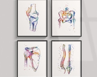 Physical Therapy Clinic Wall Art, Physiotherapy Art Watercolor Prints, Set of 4 Colorful Anatomical Posters,  Physiotherapist Office Decor