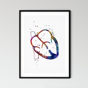 Può includere: Una stampa ad acquerello incorniciata di un cuore umano. Il cuore è raffigurato in uno stile astratto colorato, con sfumature di blu, viola, arancione e verde. L'opera d'arte è su sfondo bianco.