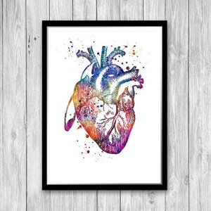 Anatomy Art DEALS Set of Prints Human Heart Brain Lungs Watercolor Wall Art for Doctor Office Decor Medical art image 4