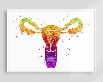 Anatomy Art, Science Art