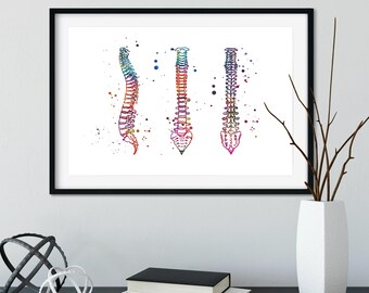 Impresión de arte mural de anatomía de la columna vertebral, póster de columna vertebral en acuarela, decoración de quiropráctico, regalo de fisioterapeuta