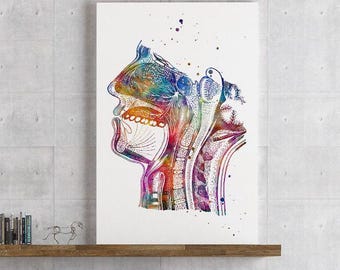 Może przedstawiać: Akwarelowa ilustracja ludzkiego gardła i jamy nosowej, ukazująca szczegóły anatomiczne. Grafika charakteryzuje się żywą paletą barw niebieskich, zielonych, żółtych i czerwonych, z naciskiem na skomplikowane struktury układu oddechowego. Obraz jest na białym tle.