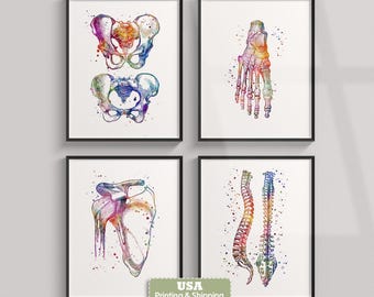 Physiotherapist Office Decor Set of 4 Watercolor Anatomy Prints | Medical Posters for Clinic