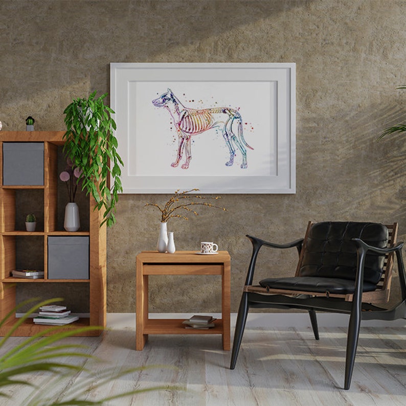 Veterinary Clinic Wall Decor Dog Skeletal System Watercolor Etsy