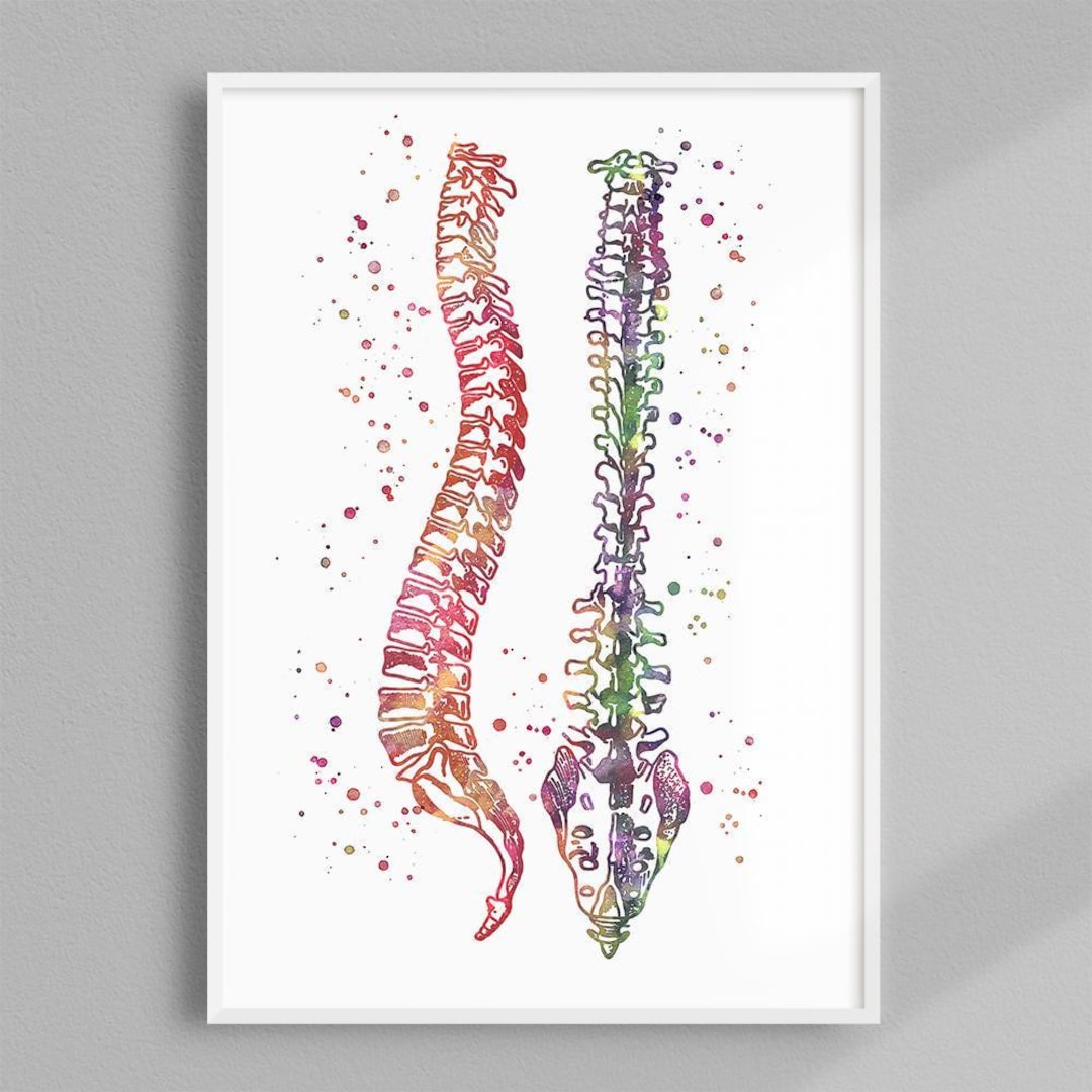Chiropractic Wall Art, Spine Art Watercolor Print, Human Anatomy Poster ...