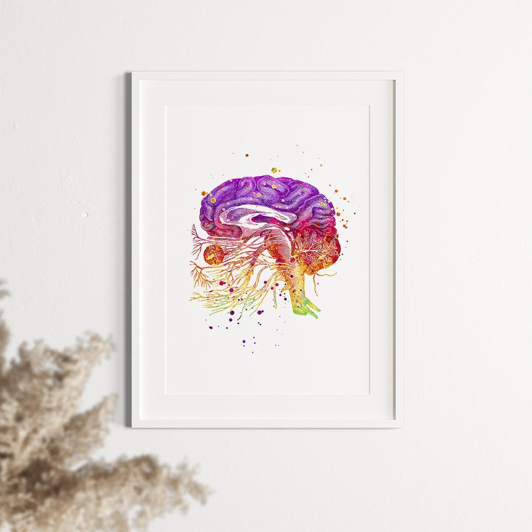 Human Brain Anatomy Art Print, Cranial Nerves Watercolor Poster, Doctor ...