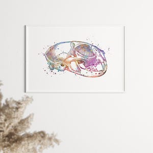 Kat schedel aquarel print, veterinaire tandheelkunde kunst aan de muur, kat kat tandheelkundige anatomie poster, huisdier kliniek decor, medisch kunstwerk voor dierenarts